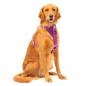 Preview: Kurgo Enhanced Strenght Tru-Fit-Smart Harness (incl. Seat Belt Tether) Purple Gr. XL Preview: Kurgo Enhanced Strenght Tru-Fit-Smart Harness (incl. Seat Belt Tether) Purple Gr. XL
